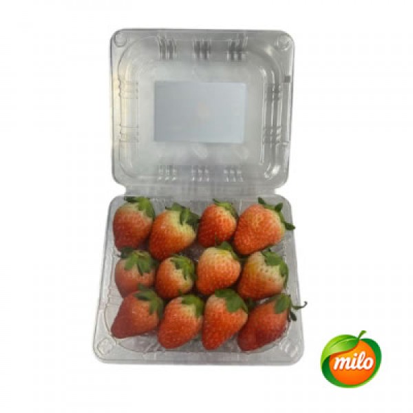 Korean strawberry 1 black