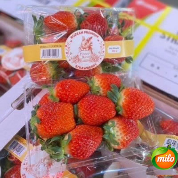 One box of imported strawberries from South Korea