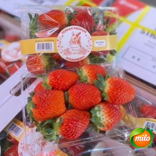 4 boxes of imported strawberries from South Korea, 330G