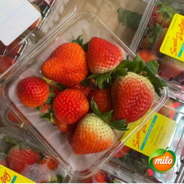 One box of American premium strawberries, 250g