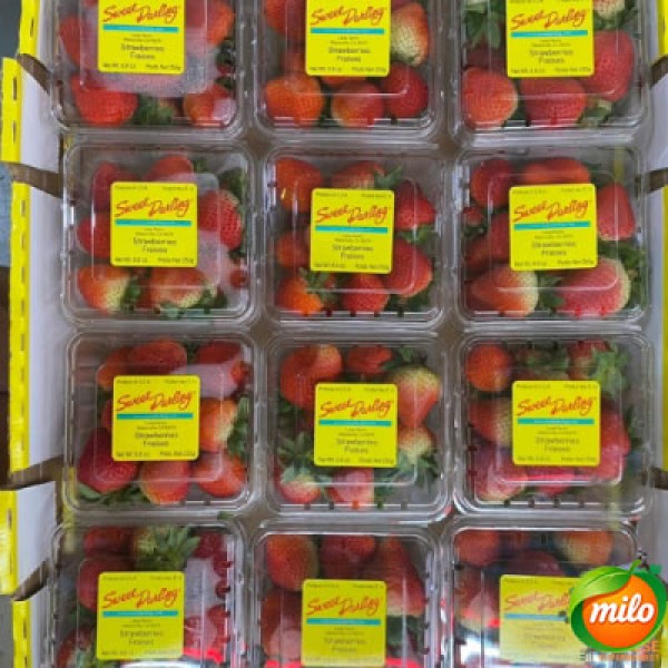 12 boxes of high-quality strawberries from the United States