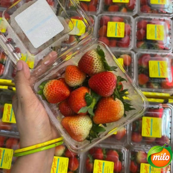 Half a box of 6 boxes of premium American strawberries