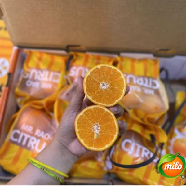Seedless sweet pomelo 700g, 4 bags and half a box