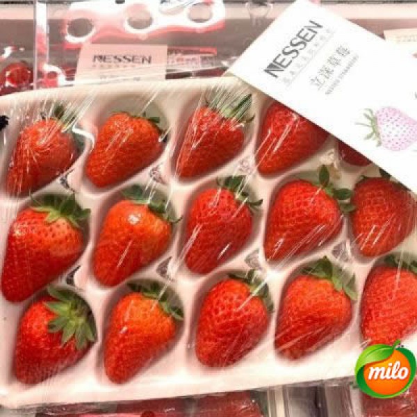 A box of Chinese plateau strawberries