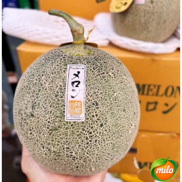 1kg of specially selected Japanese Hami melon