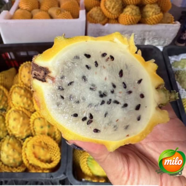 1kg of specially selected Chinese bird's nest fruit