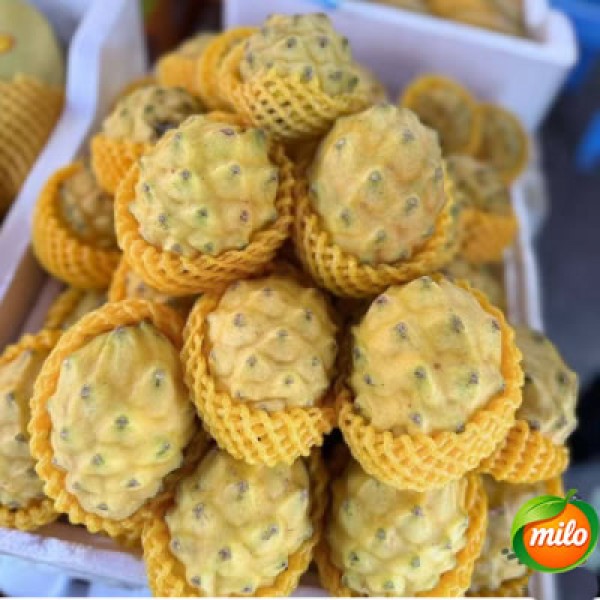 Chinese Selected bird's Nest Fruit 4kg1 box