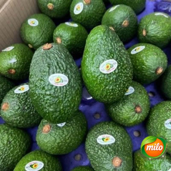 A box of 28 to 30 specially selected Peruvian avocados