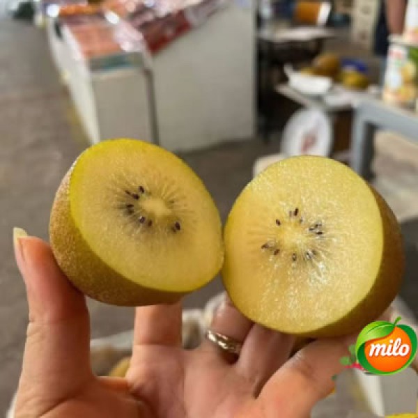 One selected yellow-fleshed kiwi from New Zealand
