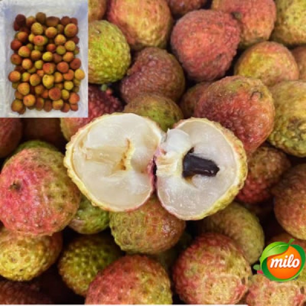 Half a box of 2.5kg glutinous rice ball lychees