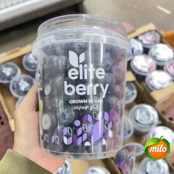 Half a box of selected blueberries from the United Arab Emirates