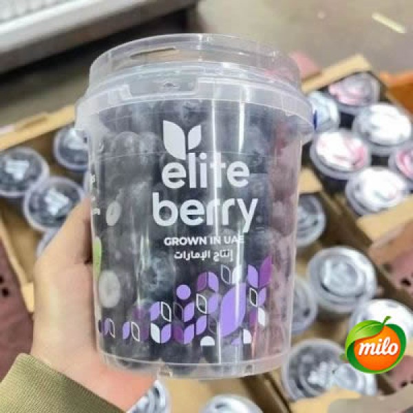 A barrel of selected blueberries from the United Arab Emirates