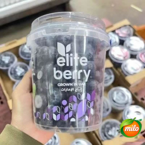 A box of specially selected blueberries from the United Arab Emirates