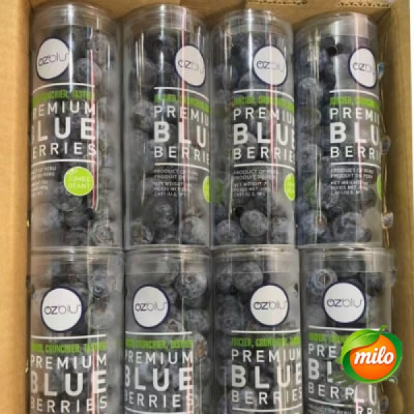 A box of 7-8 cans of Peruvian extra-large blueberries
