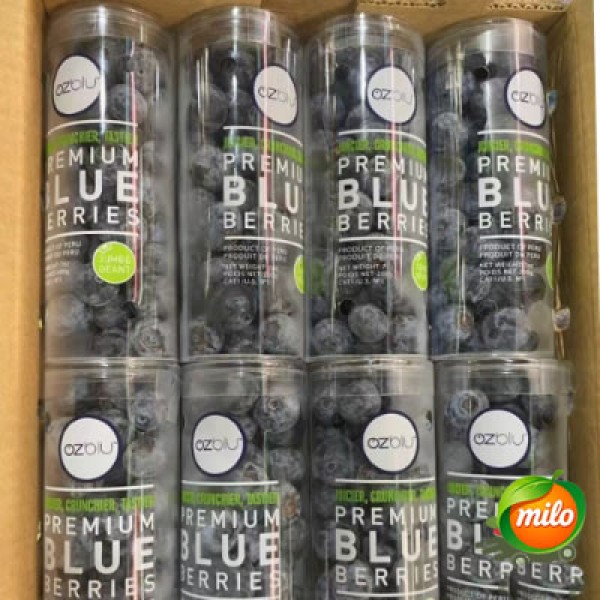 Half a box of 200g Peruvian extra-large blueberries, 4 cans