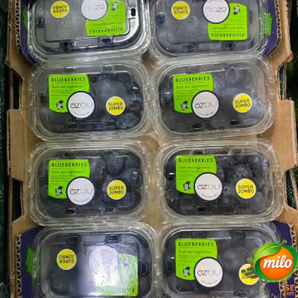 Australian extra-large blueberries 200g in 8 boxes per case