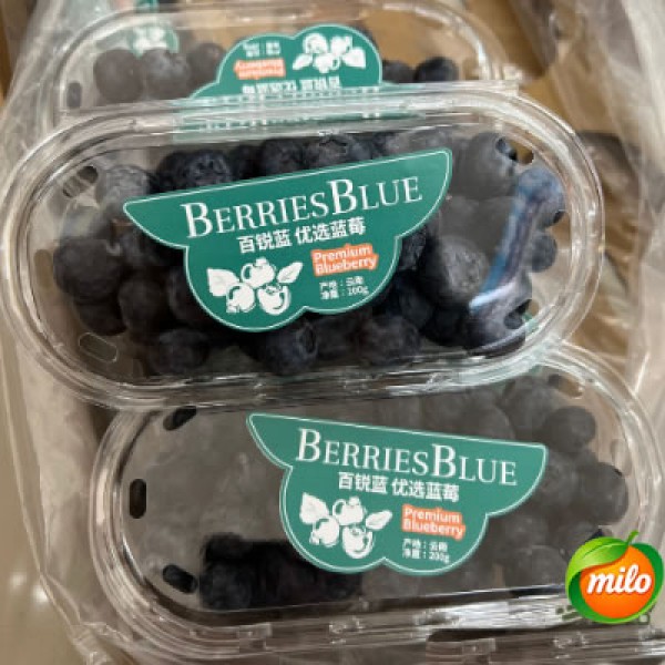 Bairui LAN Preferred Blueberries 200g3 Box and Half a case