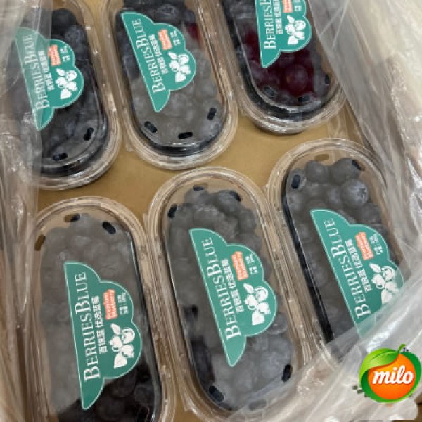 Bairui LAN Preferred Blueberries 200g, 6 boxes per case