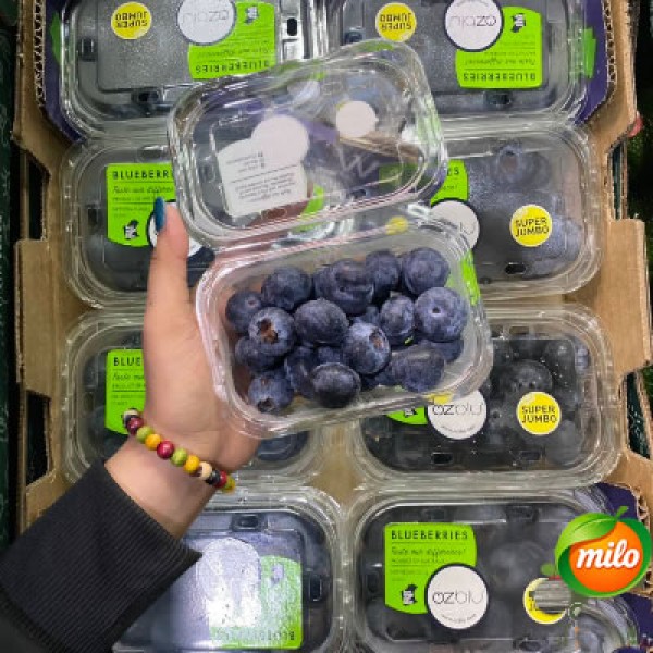 Australian extra-large Blueberry 200G box 1