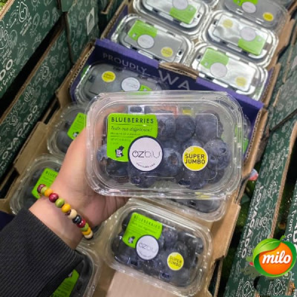 Australian extra-large blueberries 200g, 4 boxes and a half cases