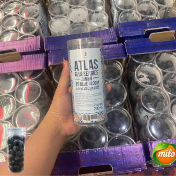 Moroccan blueberries 200g, 6 cans and half a case