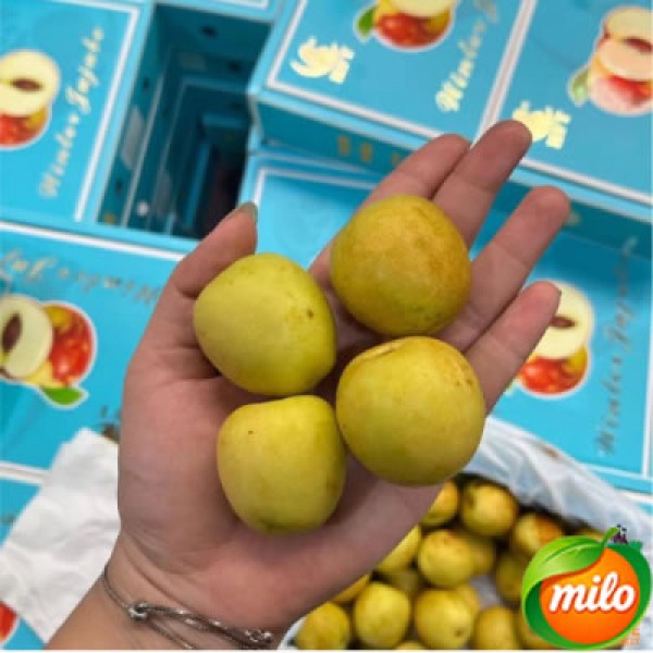 Selected large winter jujubes 1kg in 1 box