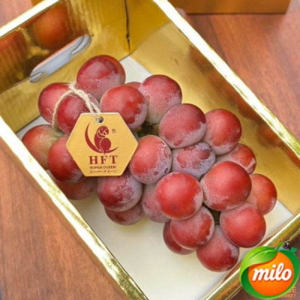 Selected Queen Nina Grapes 1 box 