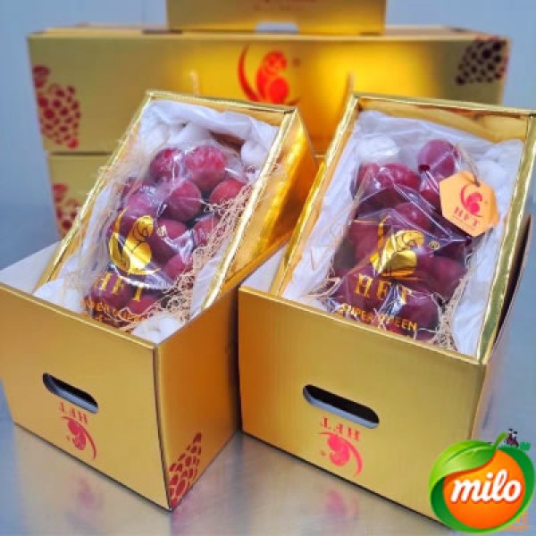 Selected Queen Nina grapes in 2 boxes each