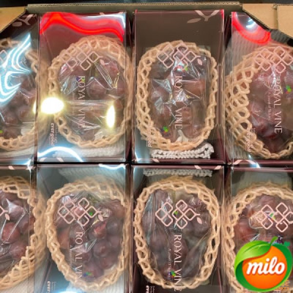 One box of greenhouse red grapes