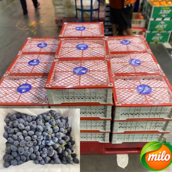 A box of 4kg specially selected black grapes from China