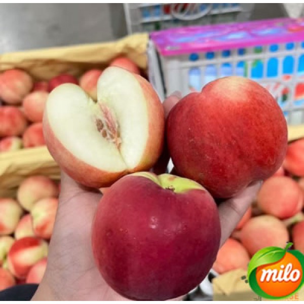1kg of specially selected Chinese nectarines