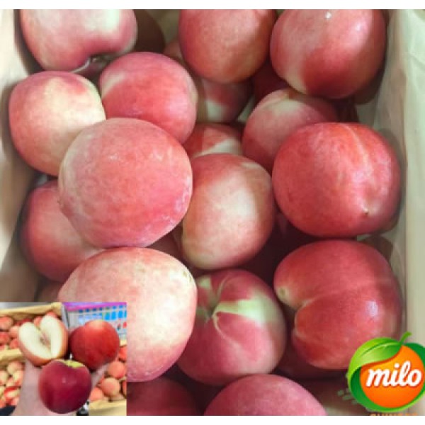 A box of 5kg of specially selected Chinese nectarines