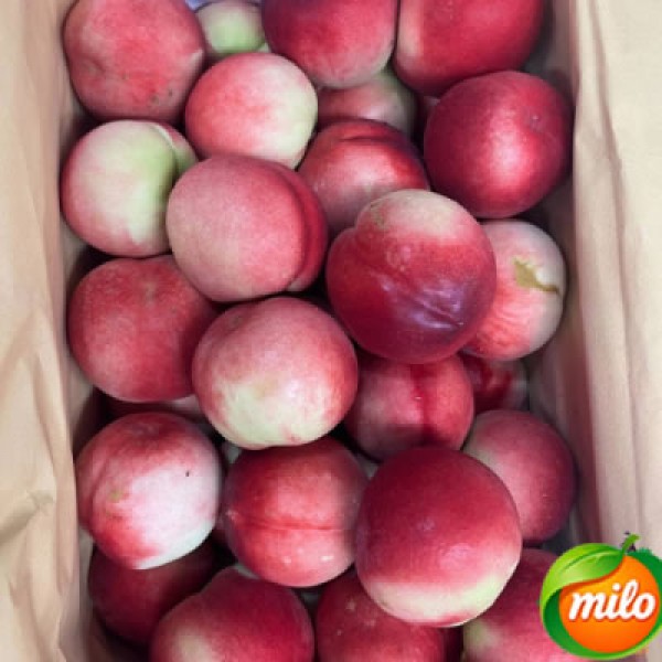 Half a box of 3kg Chinese nectarines