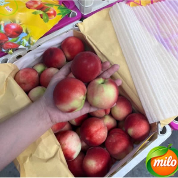 Each box of Chinese nectarines weighs 6 kilograms