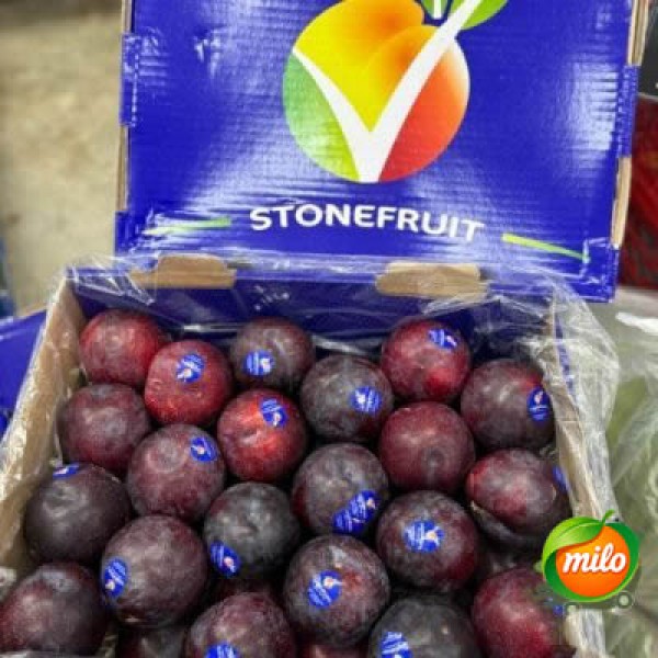Australian black Brin 4kg per box