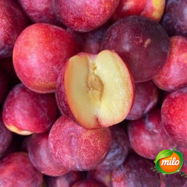Half a box of Australian imported red-fleshed plums