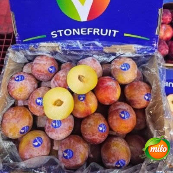 One imported yellow plum from Australia