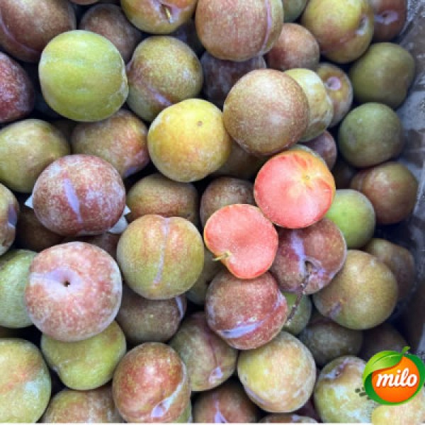 Sanhua plum 1kg