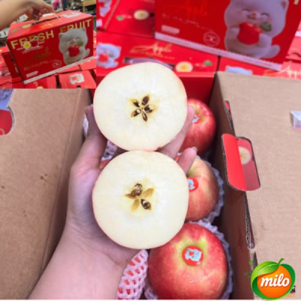 A gift box of 12 sugar-filled apples per box