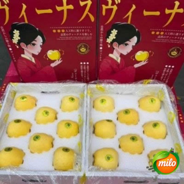One box of specially selected golden apples