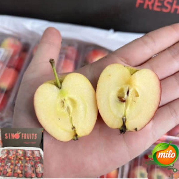 One box of Xiaosha apples weighs 500g