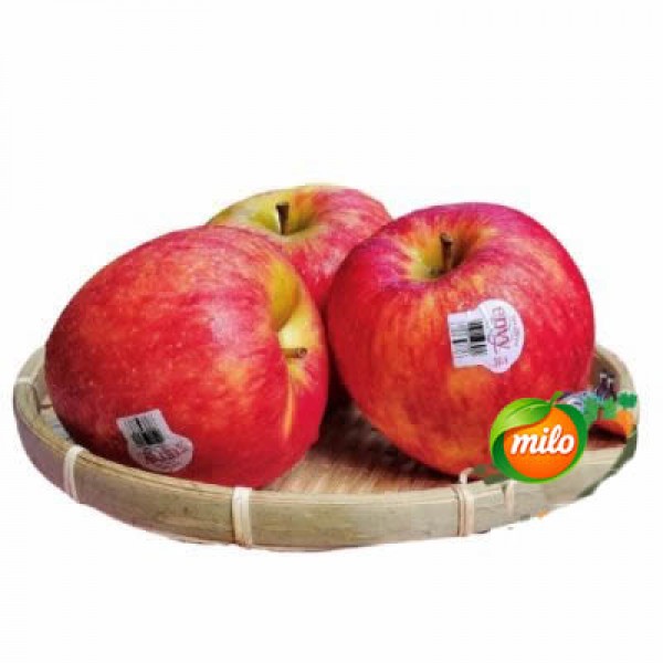 One New Zealand Aifei apple