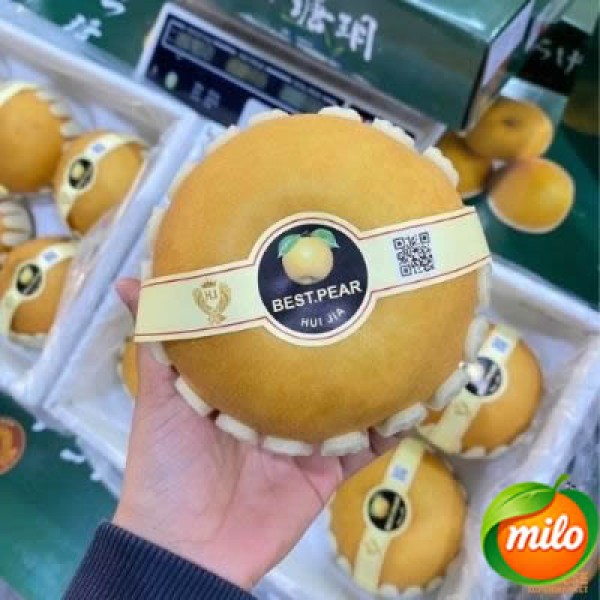A box of 6 specially selected autumn moon pears