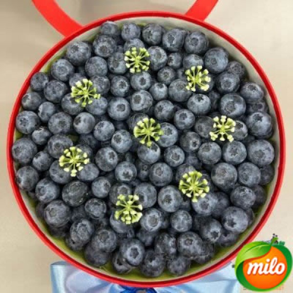 A box of blueberries as a gift of loving fruits