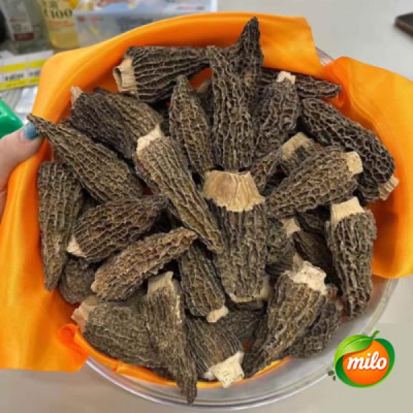 Gift box: 100 grams of large-sized morels from the plateau, 1 box