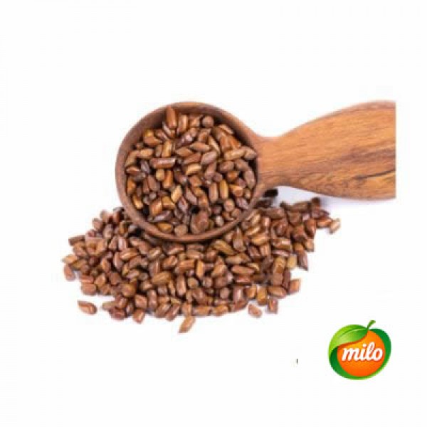 Cassia Seed 200g1 Packet 