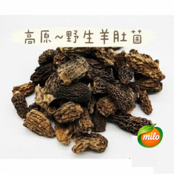 1kg of wild morels from the plateau