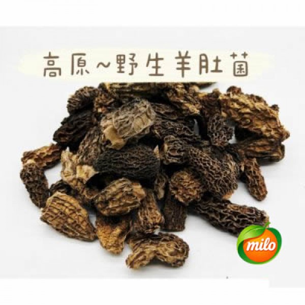 100 packs of wild morels from the plateau