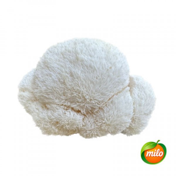 1kg of monkey head mushroom