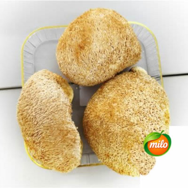 Monkey Head mushroom 1kg1 pack